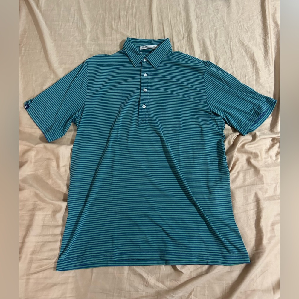 Criquet Men's Teal Striped Polo Shirt